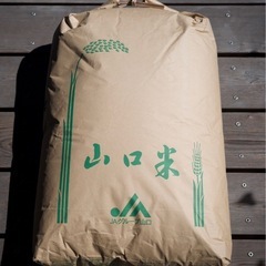 【お話し中】令和4年産山口県産ヒノヒカリ30kg