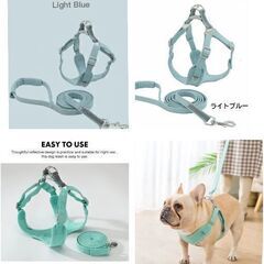 中型犬//大型犬リード&ハーネスセット（新品）お買い得！の画像