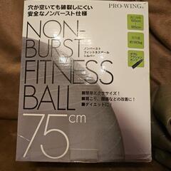 バランスボール＆ダンベルセットの画像