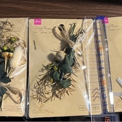 ドライフラワーの画像