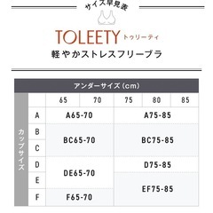トゥリーティストレスフリーブラの画像