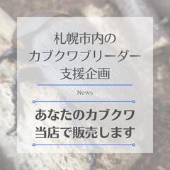 【カブクワ販売代行：残席2】カブトムシとクワガタムシの販売をお手伝いの画像