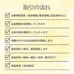 【カブクワ販売代行：残席2】カブトムシとクワガタムシの販売をお手伝いの画像