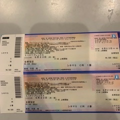 ROCK IN JAPAN サザンオールスターズライブビューイン...