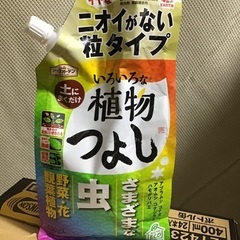 ポトス（マーブルクイーン）です。の画像