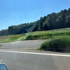 屑米を格安欲しい