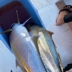 船で一緒に釣り行きませんか？ - 鹿児島市