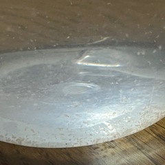 タマミジンコの画像