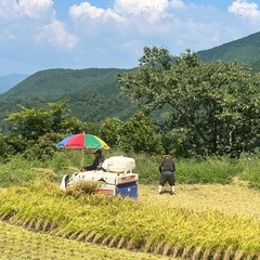 お米
