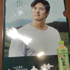 大谷サンファイル　２枚セットの画像