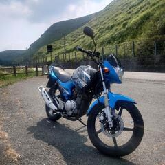 YBR125 RBモデル　実働の画像