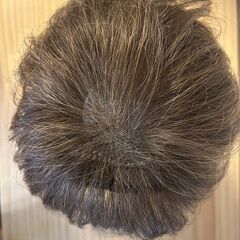 【レディースウィッグ】 －新宿や吉祥寺でも対応しますの画像