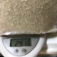 限定セット価格！！　京都産　精米済み白米　2.9kg  新米　2...