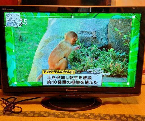 テレビ　パナソニック　ビエラ　2009年　32型　Panasonic　VIERA　TH-L32X11