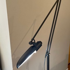 エグザームLEDフロアランプ　読書灯　通販生活の画像