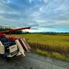 【限定数】令和6年産新米（コシヒカリ）5㎏