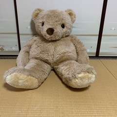  ぬいぐるみ