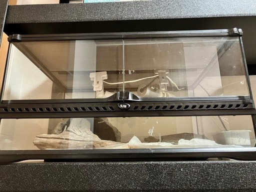 グラステラリウム　6030 中古