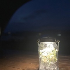 ソネングラス®️