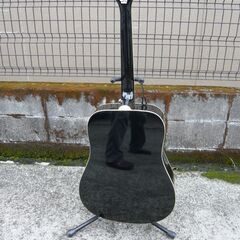 Epiphone エピフォン DR-100 の画像