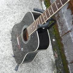 Epiphone エピフォン DR-100 の画像