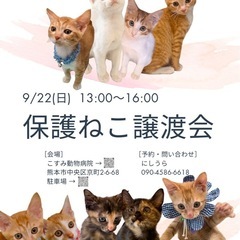 ❤️保護猫譲渡会のお知らせ❤️