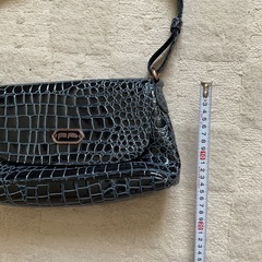 フォリフォリ　バッグの画像