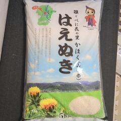 お米　5kg  はえぬき