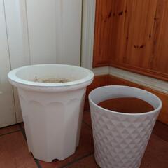 差し上げます　植木鉢プラ製　陶器製