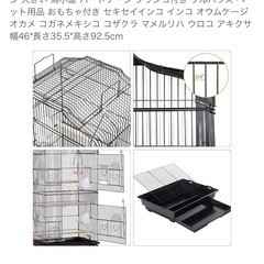 バードケージの画像