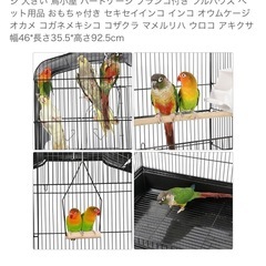 バードケージの画像