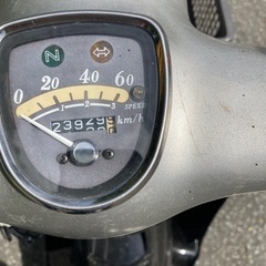 リトルカブ