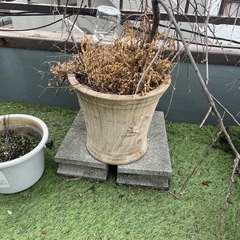 植木鉢
