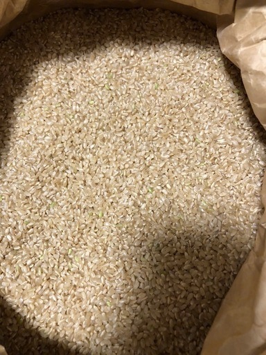 まだ精米していない新米30kg、静岡県産ひとめぼれ。