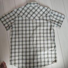 メンズシャツ　L　ピコの画像