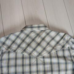 メンズシャツ　L　ピコの画像