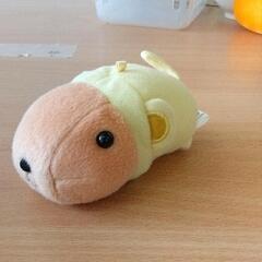 0921-450 カピバラさん