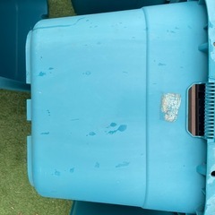 角型タライ６０ℓ×4、３６ℓ×2 （メダカ、ビオトープ）の画像