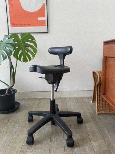 ayur chair  アーユルチェア  オクトパス  キャスタータイプ