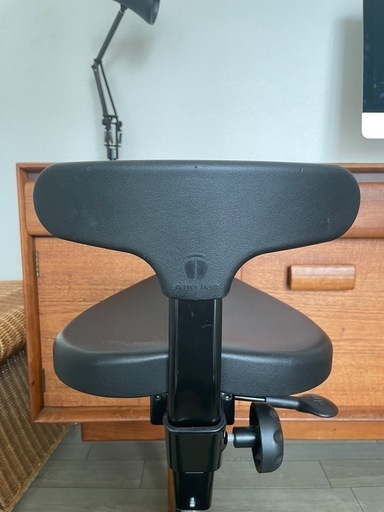 ayur chair  アーユルチェア  オクトパス  キャスタータイプ