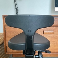 ayur chair アーユルチェア オクトパス キャスタータイプ