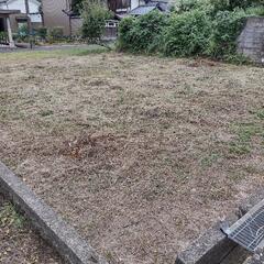 草刈り、庭木剪定、伐採など