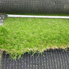人工芝　ロール　2m×10mの画像
