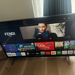 【LG】【2021年製】44型テレビの画像