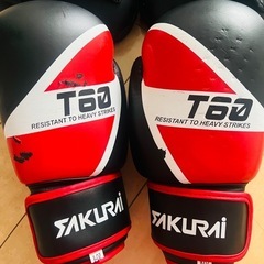 ボクシンググローブ・ミットの画像