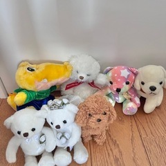動物ぬいぐるみ
