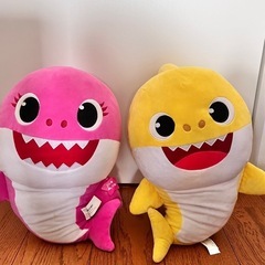 ベイビーシャーク