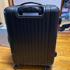 キャリーバック
