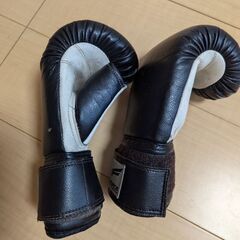 パンチンググローブの画像