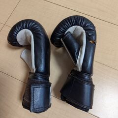パンチンググローブの画像